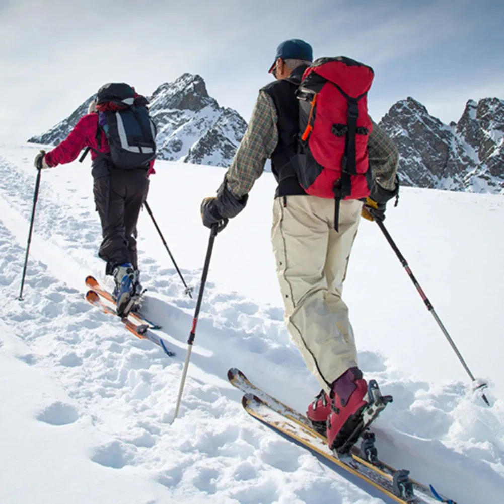 Aluminum  Hiking Pole, Walking Sticks
