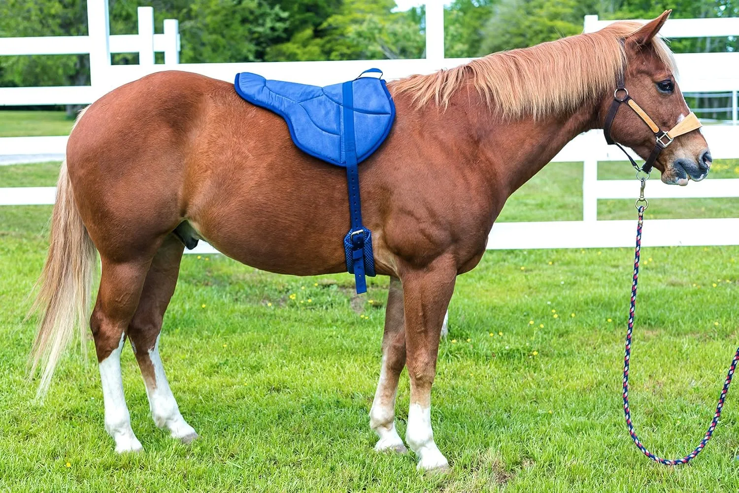 Best Friend English Bareback Pad - English Saddle Pad, Bareback Horse Saddle with Adjustable Girth (60-86 Inch), Non-Slip, Contoured Design, Bareback Saddle Pad