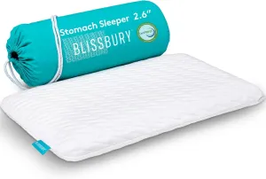 BLISSBURY Stomach Sleeping Pillow - Flat Pillows for Sleeping | Thin Memory Foam Pillow for Stomach Sleepers | Ultra Thin Pillow for Sleeping | Slim Pillow, Stomach Sleeper Pillow | 2.6 Inch Thickness