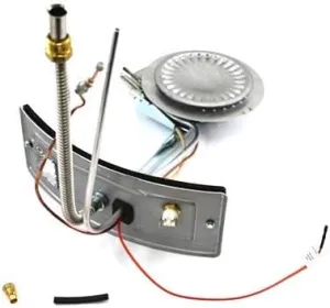Complete Burner/Door Assembly, Natural Gas (HSI Control Valves)