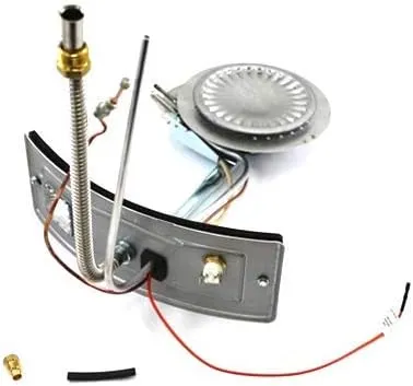 Complete Burner/Door Assembly, Natural Gas (HSI Control Valves)