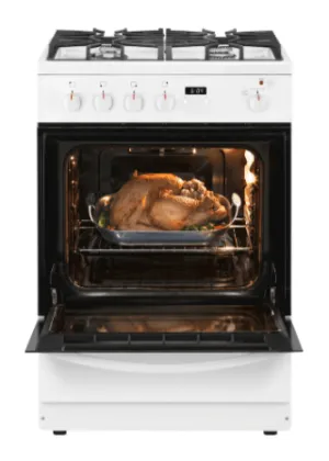 Frigidaire 24" Gas Range FFGH2422UW