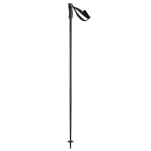 Head Multi Black Ski Pole