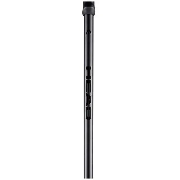 Head Multi Black Ski Pole