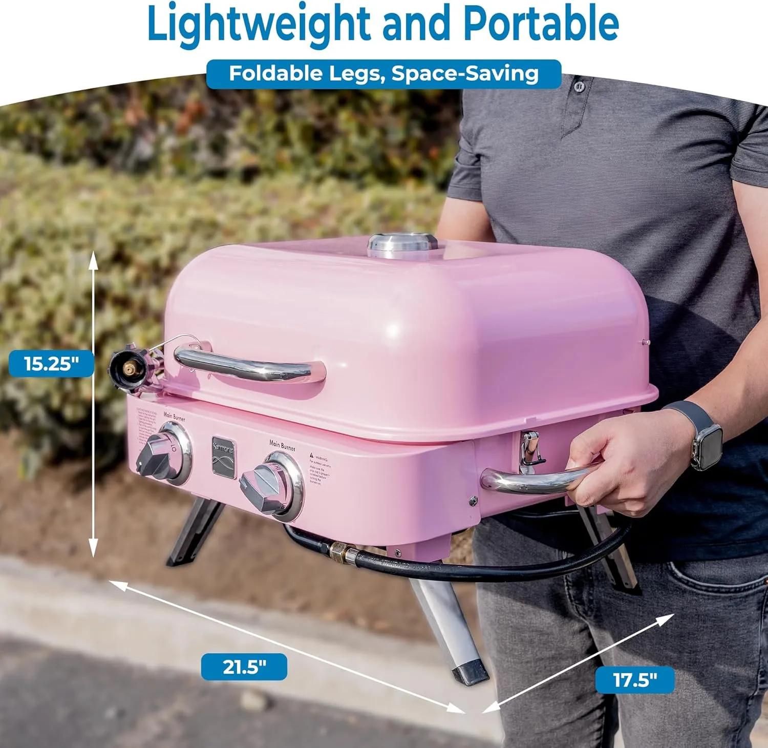Kenmore 2-Burner Portable Tabletop Retro Gas Grill