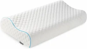 Memory Foam Pillow, Neck Bed Contour Pillow for Sleeping, Ergonomic Orthopedic Cervical Pillow for Side Back Stomach Sleeper, Queen,Firm,White