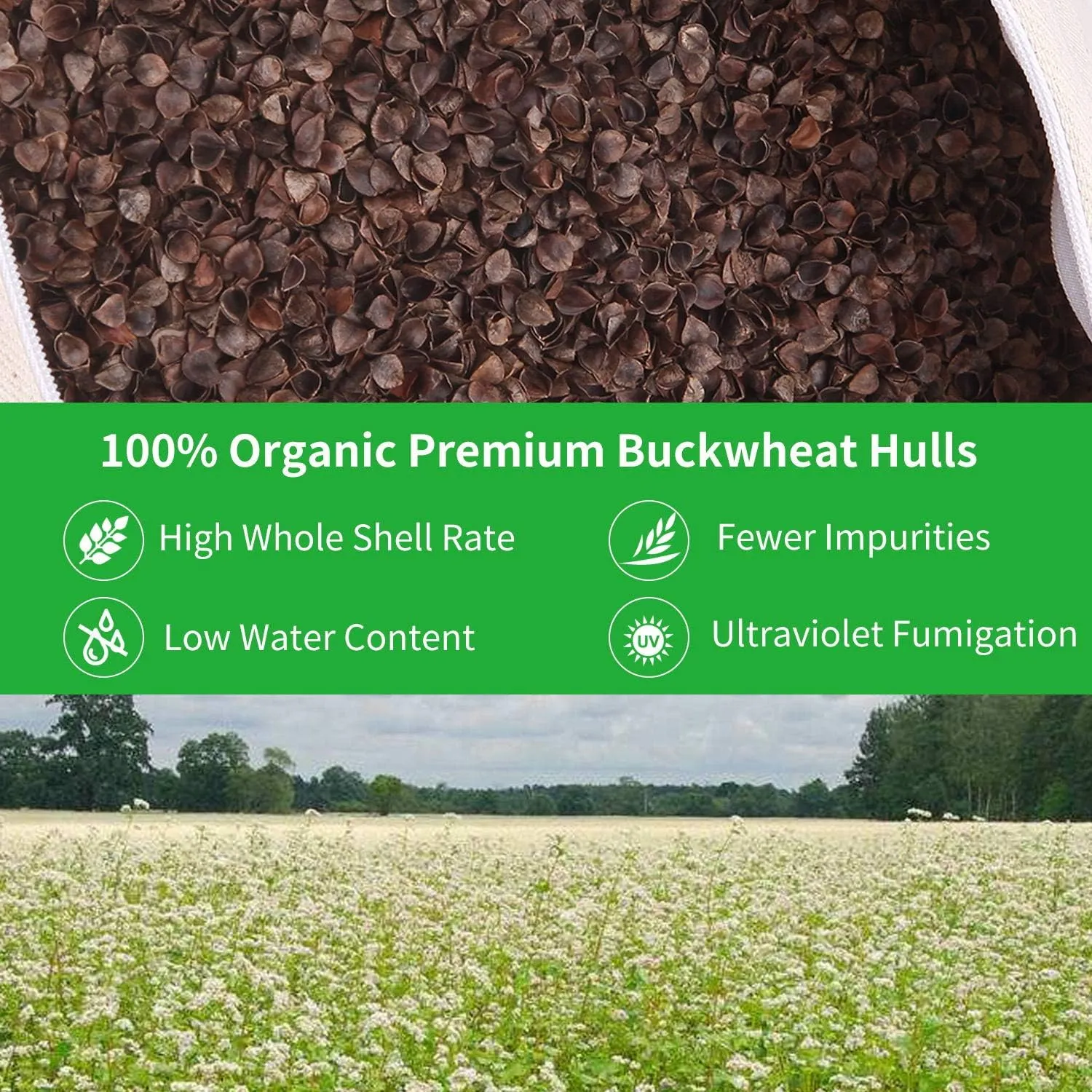 Organic Buckwheat Pillow for Sleeping, 100% Natural Premium buckwheat hulls, Organic Cotton Cover for Cool Sleep, Neck Support for Back and Side Sleepers, Buckwheat Pillow Refill-Travel Size(15” x 9”)
