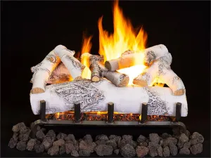 Outdoor 36" Ashton Birch 9 Piece Gas Log Set with Dual Burner