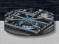 Premier Pro Series P24S3202PS 24" Stainless Range with Electronic Ignition