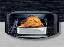 Premier Pro Series P24S3202PS 24" Stainless Range with Electronic Ignition