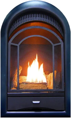 ProCom Dual Fuel Ventless Gas Fireplace Insert with Thermostat Control, 5 Hand-Painted Fire Logs, Use with Natural Gas or Liquid Propane, 15000 BTU, Heats up to 800 Sq. Ft., Elegant Black Design