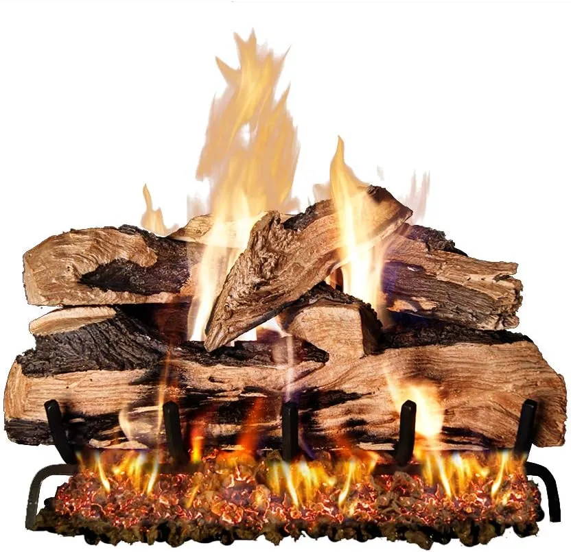RealFyre Peterson ANSI Certified 24" G46 Dual Burner System w/Pre-Installed On/Off Variable Flame Remote Control Natural Gas (Burner System Only Logs Not Included)