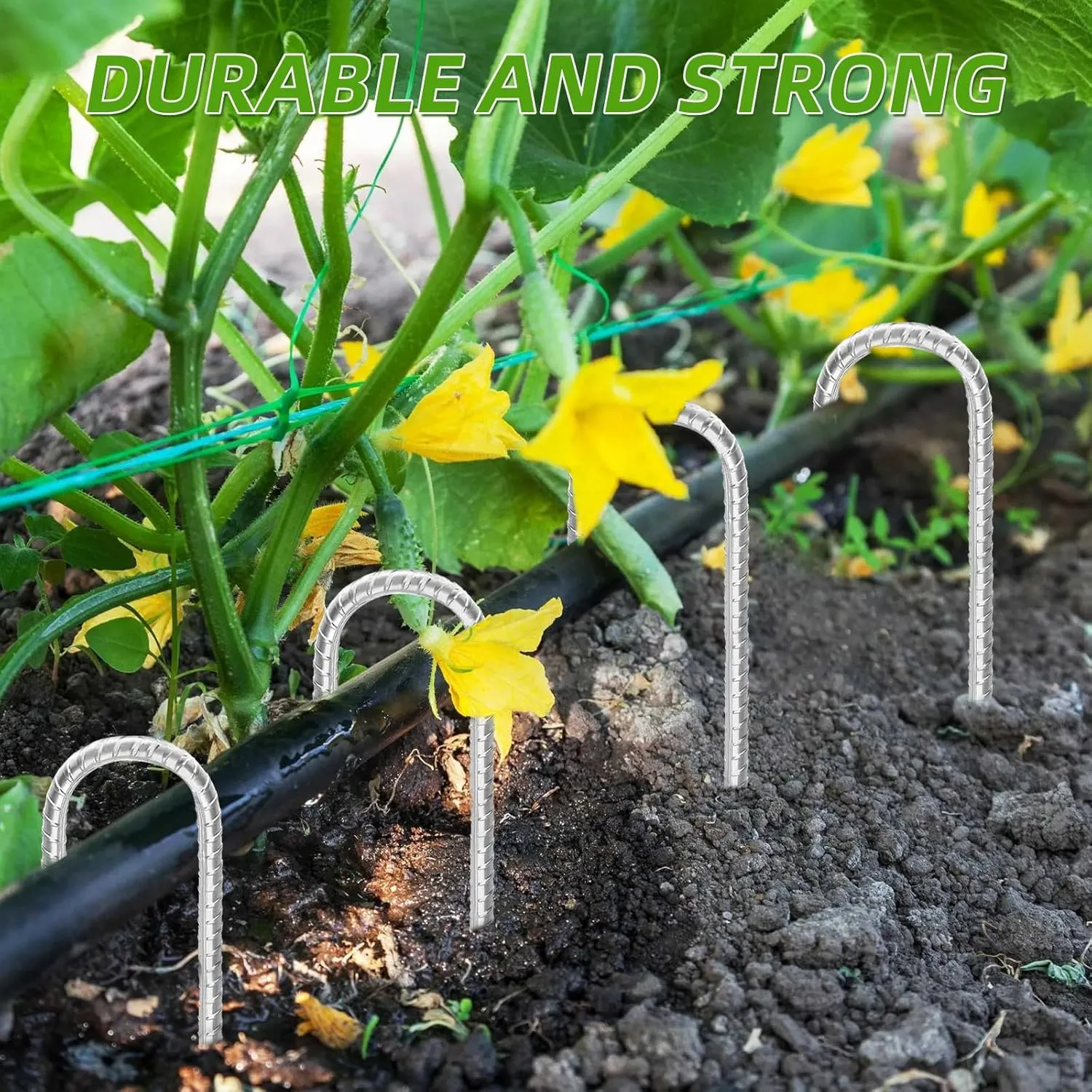 Rebar Stakes 12Inch,J Hook Heavy Duty Galvanized Ground Anchors Rebar Tent Stakes 12 Pack for Feed Garden Trampoline Tarps and Yard Art Camping Tents Swings Football Nets Nflatable Decorations