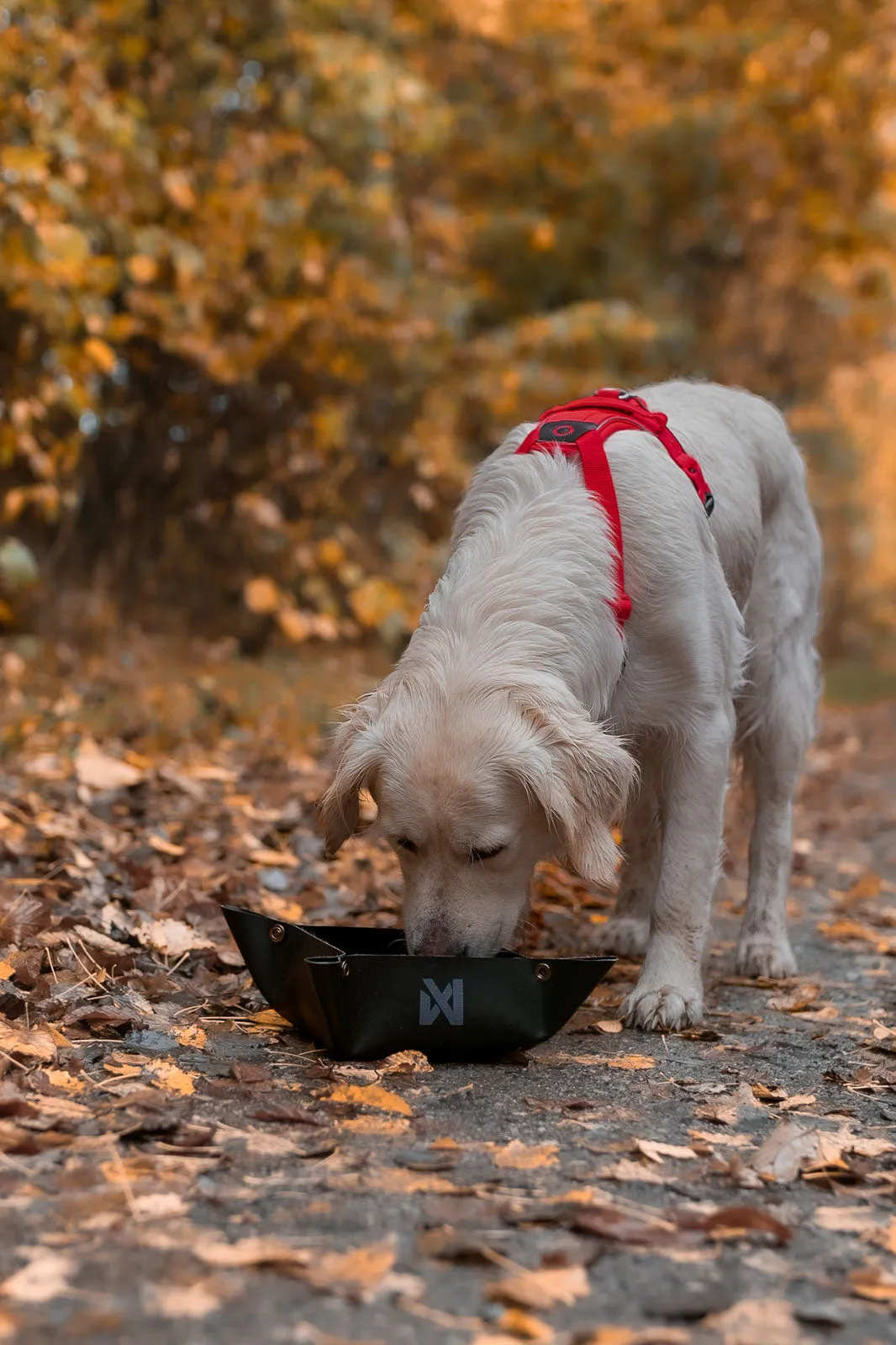 Trekking bowl